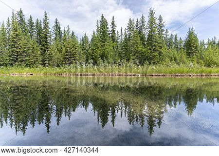 Nature Scenery With Lush Green Coniferous Forest Mirroring In Water Surface In Front Of It, Shot In 