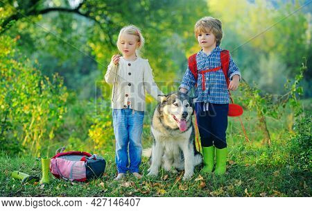 Young Boy And Little Girl In A Green Field With His Pet Husky Or Malamute. Summer At Countryside. Su