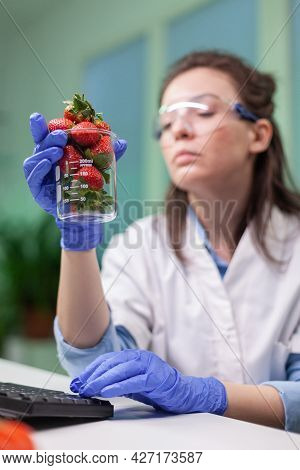 Biologist Researcher Looking At Organic Strawberry Examining Fruits For Microbiology Medical Experti