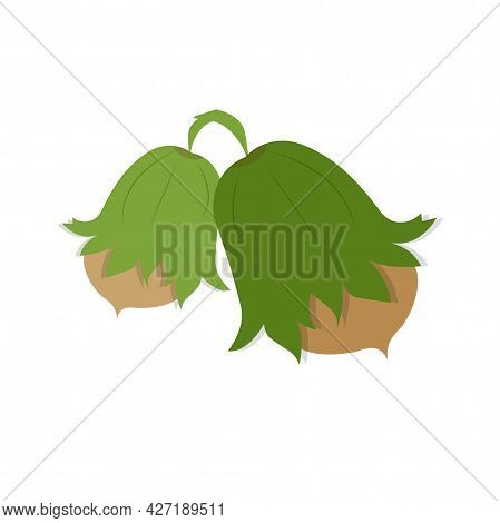 Hazelnut Icon Art Design Element Food Plant Stock Vector Illustration For Web, For Print