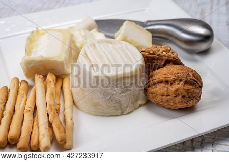 Cheese Collection, Soft Goat French Cheese With Mold Crottin De Chavignol Produced In Loire Valley