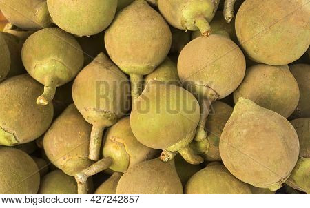 Quararibea Cordata - Sapote Fruit In The Traditional Colombian Market