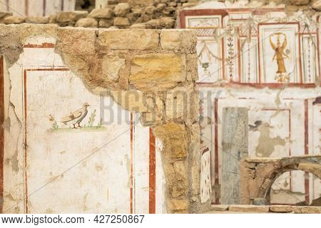 Ruins of antique terrace houses in Ephesus ancient city close-up. Ancient rooms with fresco painting on walls and floor mosaics, Selcuk province, Turkey