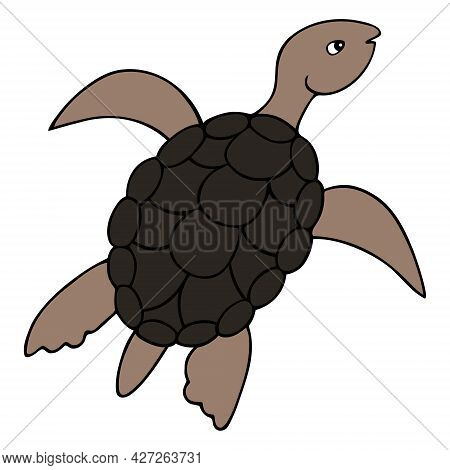 Turtle. Colored Vector Illustration. Marine Reptile With Shell. Waterfowl Turtle With An Oval Shell.