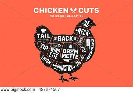 Chicken, Hen. Scheme, Diagram, Chart Chicken Butcher Guide. Poster For Kicthen Or Bar Wall Design. V
