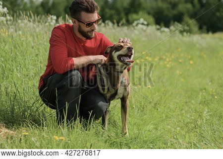 Caucasian Man, 30 Years Old, Is Petting His Happy Dog In Outdoors.