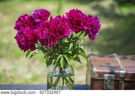 Beautiful Bouquet Of Flowers Red Peonies In A Glass Jar With Water And Old Suitcase On A Wooden Tabl