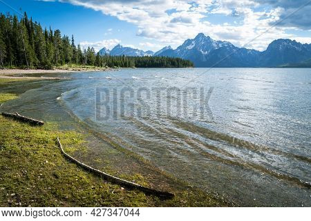 Shoreline Of Jackson Lake, At Colter Bay Lakeshore, In Wyoming Usa, During A Summer Afternoon