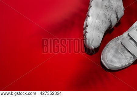 Top View Two White Childrens Sneakers With Velcro Fasteners With Shadows Of Palm Or Fern Leaves Isol