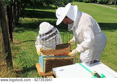 Mother Teaching Her Child To Look For The Queen And Inspect Frames In A Langstroth Beehive With Gree