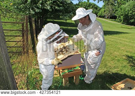 Mother Teaching A Child How To Check For The Queen Bee On The Inner Lid Of A Langstroth Beehive With