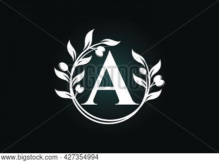 Initial Letter A Sign Symbol With Olive Branch Wreath. Round Floral Frame Made By The Olive Branch. 