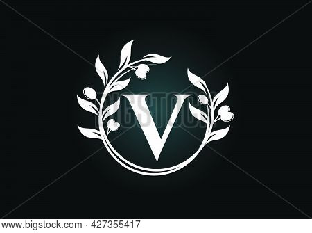 Initial Letter V Sign Symbol With Olive Branch Wreath. Round Floral Frame Made By The Olive Branch. 