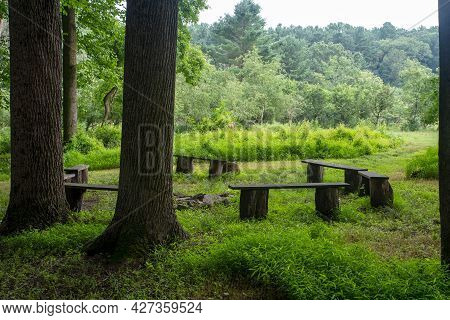 No People In This Image Of A Woodland Nature Retreat With A Circle Of Benches Around A Fire Pit Unde