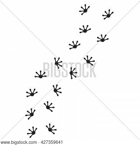 Gecko Footprint Vector Illustration Design