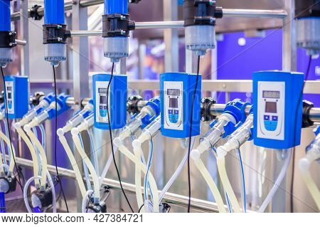 Automated Goat Milking Suction Machine With Teat Cups At Cattle Dairy Farm, Exhibition, Trade Show. 