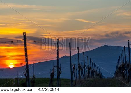Sunrise in Palava with Devicky ruins, Southern Moravia, Czech Republic