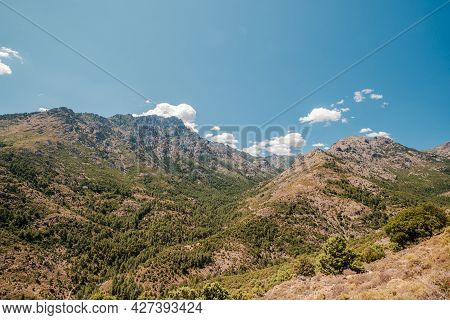 View Of The Tartagine Valley And Pine Covered Mountains In Corsica