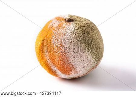 Rotten Orange Fruit Isolated On White Background