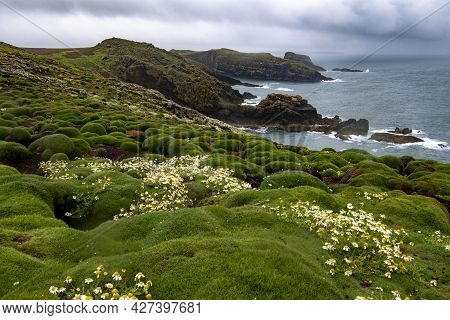 Coastal View On Island Of Skomer In Pembrokeshire