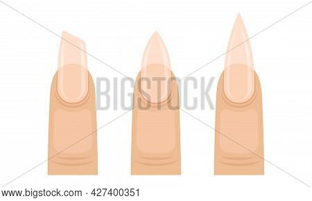 Female Finger With Nail Form And Shapes Vector Set