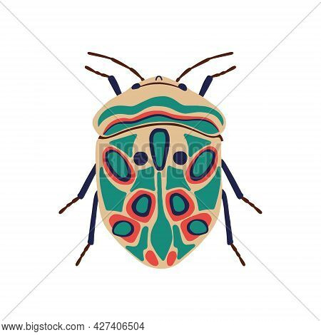 Vector Illustration, Color Picasso Beetle, A Beautiful Beetle With An Ornament