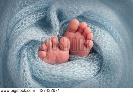 Feet Of A Newborn Close-up In A Woolen Blanket. Pregnancy, Motherhood, Preparation And Expectation O