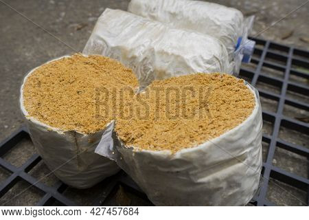 A Lump Of Oyster Mushroom For Growing In Farm Mushroom Cubes On Black Plastic Grille.
