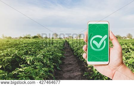 Phone With A Quality Mark On A Farm Plantation. Growing Organic Vegetables. Control Permissible Dose