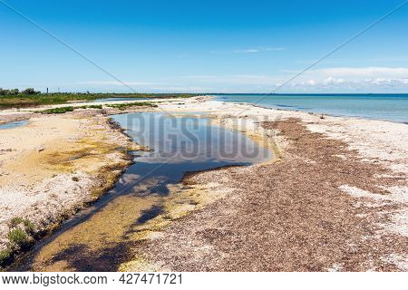 Wild Beautiful Beach On The Dzharylgach Island In The Black Sea.