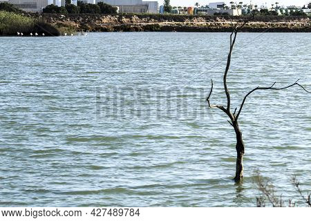 Wetlands Of San Pedro Del Pinatar, Murcia Province, On A Sunny Day Of Summer