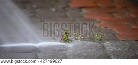 Wash Garden Paths After Floods In Europe, Horizonta