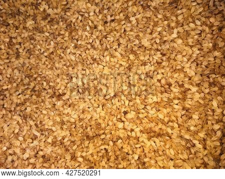 Closeup Image Of Kerala Palakkadan Matta Rice. Selective Focus