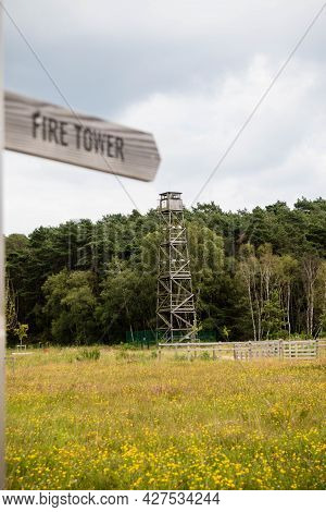 A Sign Pointing At An Old Fire Lookout Tower Located In Buckler's Forest Crowthrone, Southern United
