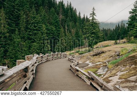 Paved Trail Leading To The Bridge Overlook At The Box Canyon Of The Cowlitz River In Mt Rainier Nati