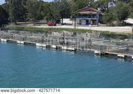 White Fish Traps In Water With Fish Allowing Not To Die. Angling Accessories. Fish Trap Or Tank And 