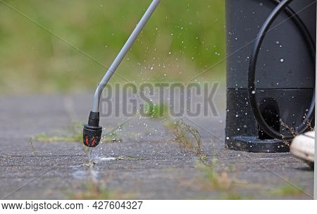 Spraying Pesticide With Portable Sprayer To Eradicate Garden Weeds