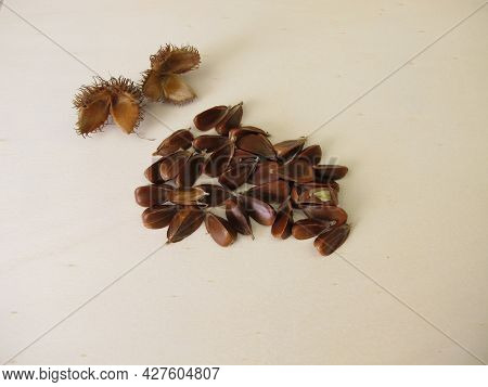 Unshelled Beechnuts From The European Beech On A Wooden Board