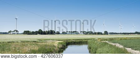 Blossoming Potatoe Field And Wind Turbines In Wieringermeer Under Blue Sky In Dutch Province Of Noor