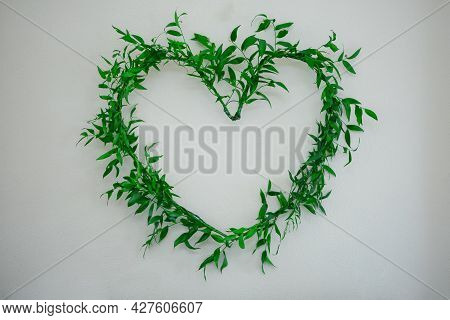 Arranged Heart Symbol Of Green Ruscus Branches On A Light Background.