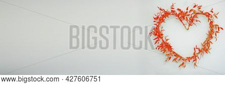 Arranged Heart Symbol Of Ruscus Branches With Red Leaves On Bright Background In Panoramic Frame.