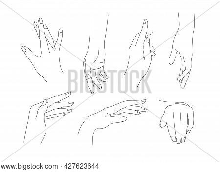 A Collection Of Realistic Female Hands. Isolated Vector Gesture Icon Set On White Background, Linear