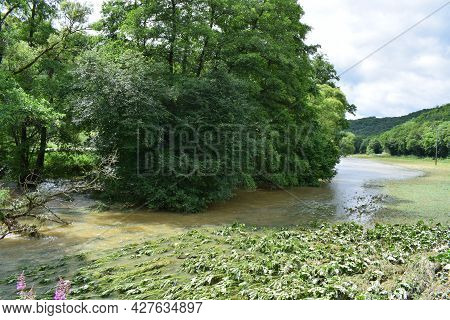 Flooded Field By Elz River In The Eifel During Summer 2021