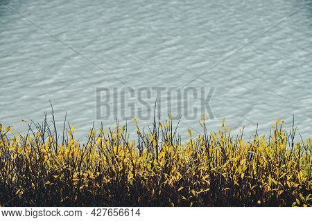 Meditative Autumn Nature Background With Golden Leaves Above Shiny Lake Water With Ripples. Beautifu