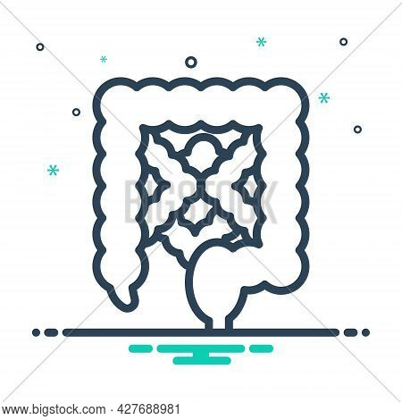 Mix Icon For Intestine Alimentary Digestive Organ Human Gastrointestinal Health Intestine Rectum Gut