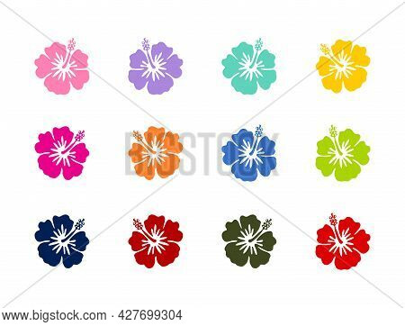 Tropical Exotic Hibiscus Flowers Vector Set Tattoo Silhouette Drawing Illustration.hawaiian Floral S