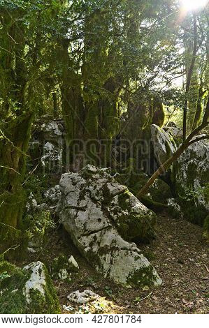 Scenery Along The Hiking Trail Trough The Llogara National Park