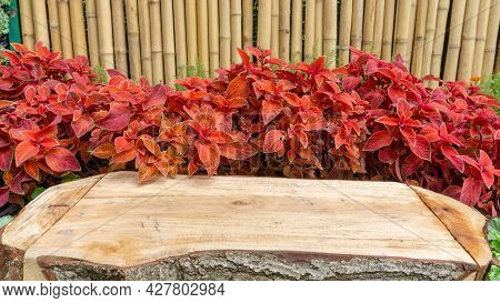 A Rustic Brown Wooden Table On Red Leaves Of Painted Nettle Or Colues Plant And Yellow Bamboo Trunk 
