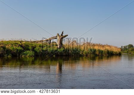 Summer Day Over Warta River In Warta Landscape Park, Poland.