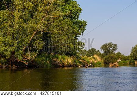 Summer Day Over Warta River In Warta Landscape Park, Lad, Poland.